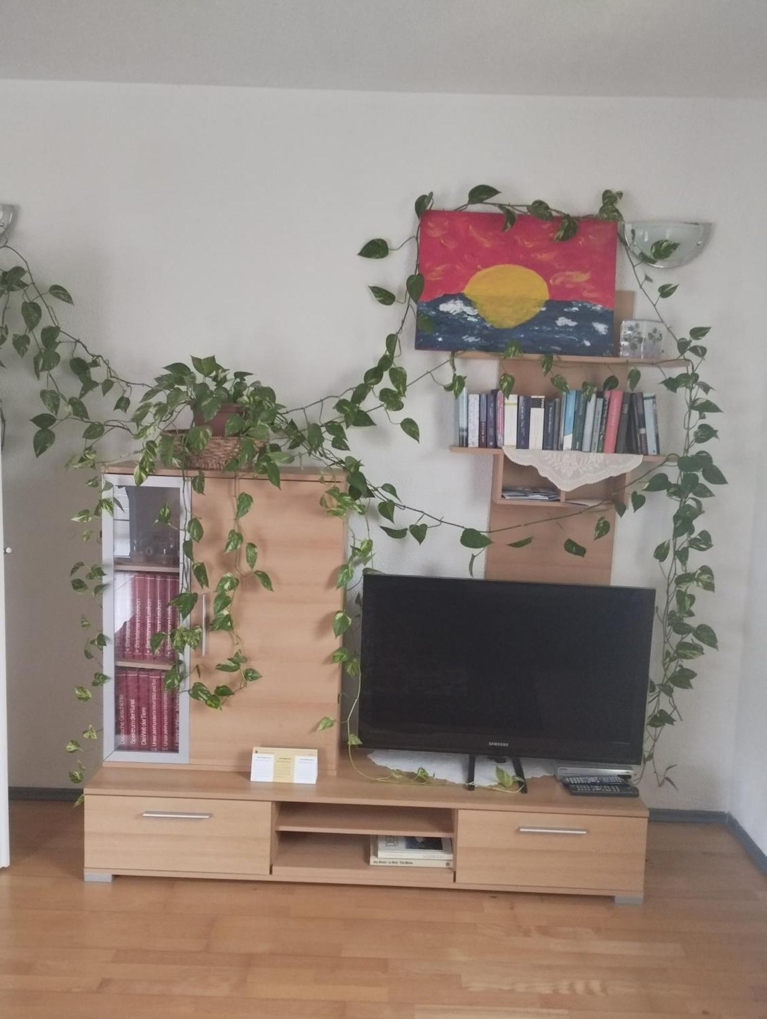 Ferienwohnung Lottstetten Esterno foto